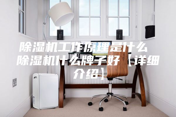 除濕機工作原理是什么 除濕機什么牌子好【詳細介紹】
