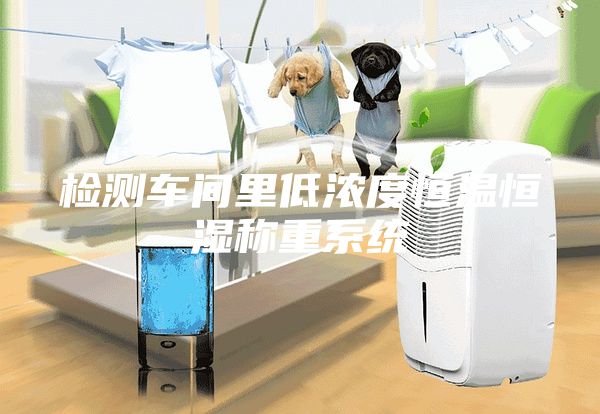 檢測(cè)車間里低濃度恒溫恒濕稱重系統(tǒng)