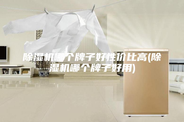 除濕機(jī)哪個(gè)牌子好性價(jià)比高(除濕機(jī)哪個(gè)牌子好用)