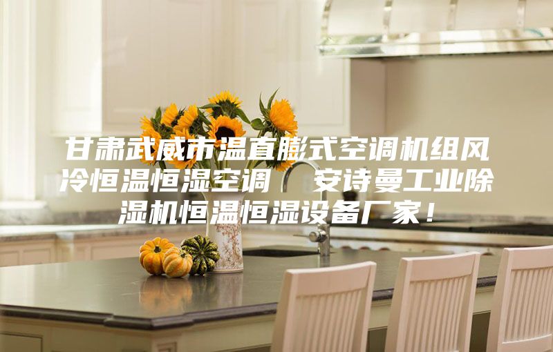 甘肅武威市溫直膨式空調(diào)機(jī)組風(fēng)冷恒溫恒濕空調(diào)  安詩曼工業(yè)除濕機(jī)恒溫恒濕設(shè)備廠家！