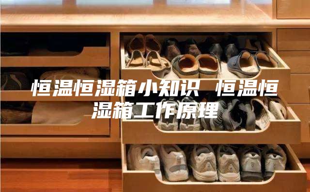 恒溫恒濕箱小知識 恒溫恒濕箱工作原理