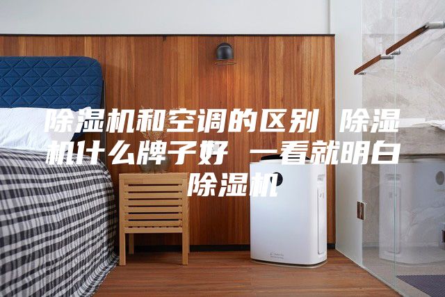 除濕機和空調(diào)的區(qū)別 除濕機什么牌子好 一看就明白 除濕機