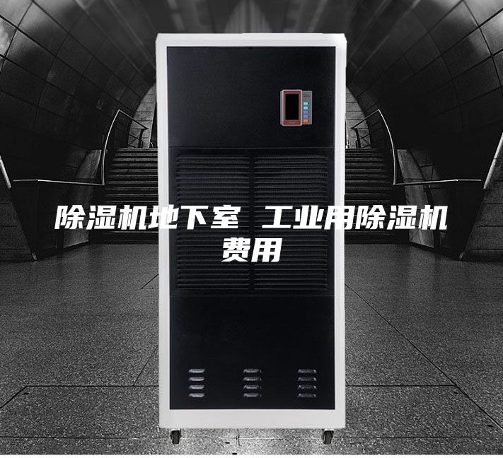 除濕機地下室 工業(yè)用除濕機費用