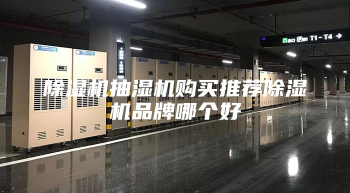 除濕機抽濕機購買推薦除濕機品牌哪個好