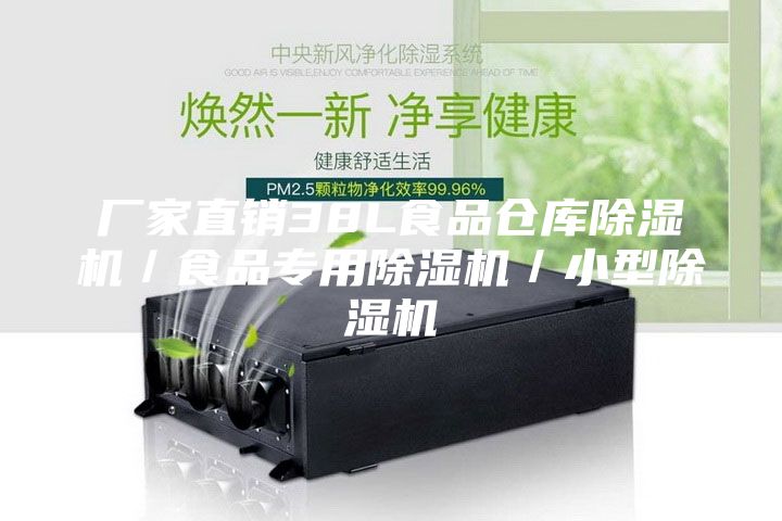 廠家直銷38L食品倉庫除濕機/食品專用除濕機/小型除濕機