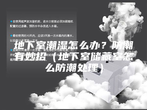 地下室潮濕怎么辦?防潮有妙招(地下室儲藏室怎么防潮處理)
