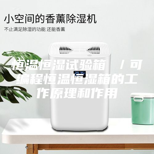 恒溫恒濕試驗(yàn)箱 ／可編程恒溫恒濕箱的工作原理和作用