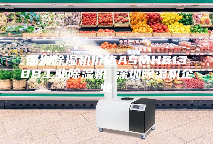 深圳除濕機價格ASMH6138B工業除濕機 深圳除濕機企業