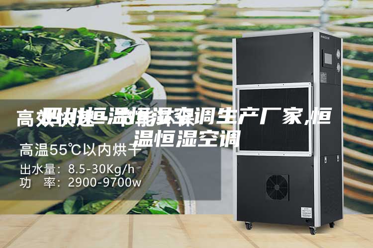 四川恒溫恒濕空調生產廠家,恒溫恒濕空調