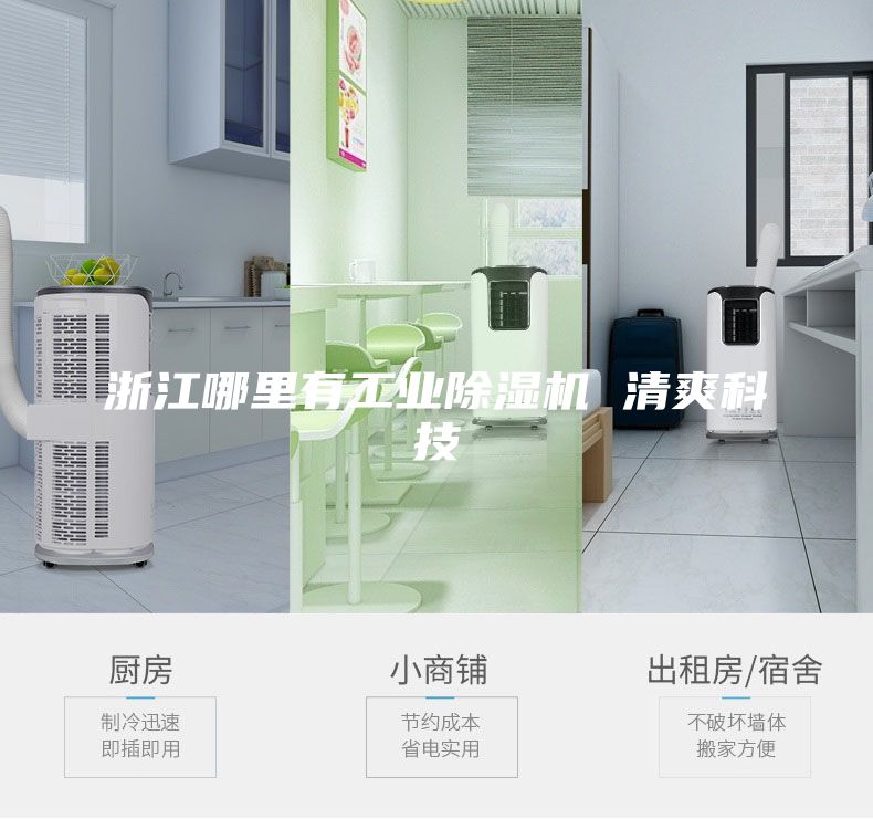 浙江哪里有工業(yè)除濕機 清爽科技