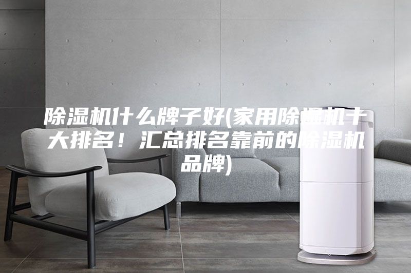 除濕機什么牌子好(家用除濕機十大排名！匯總排名靠前的除濕機品牌)