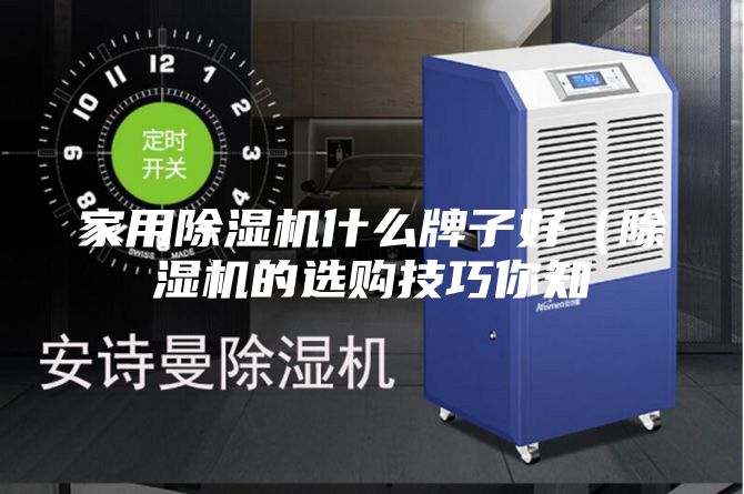 家用除濕機(jī)什么牌子好（除濕機(jī)的選購技巧你知