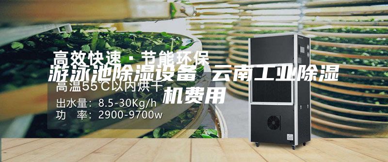 游泳池除濕設(shè)備 云南工業(yè)除濕機(jī)費(fèi)用