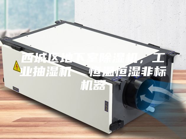 西城區地下室除濕機，工業抽濕機  恒溫恒濕非標機器