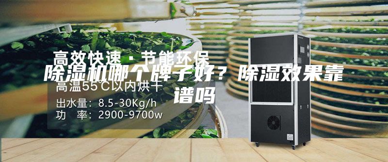 除濕機哪個牌子好？除濕效果靠譜嗎