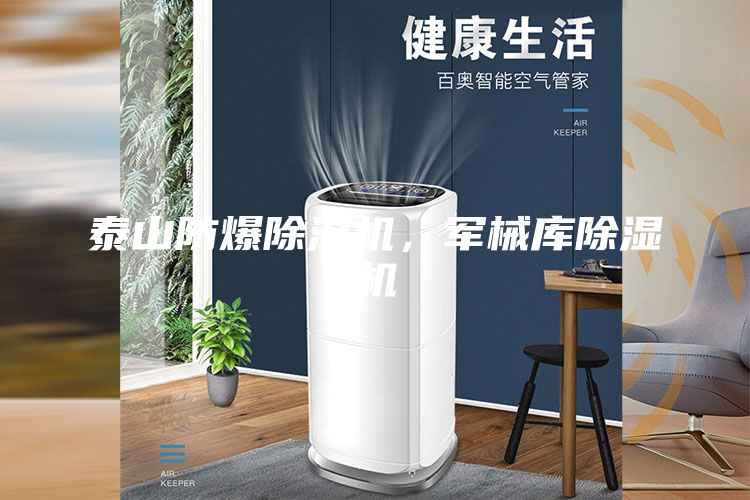 泰山防爆除濕機(jī)，軍械庫除濕機(jī)