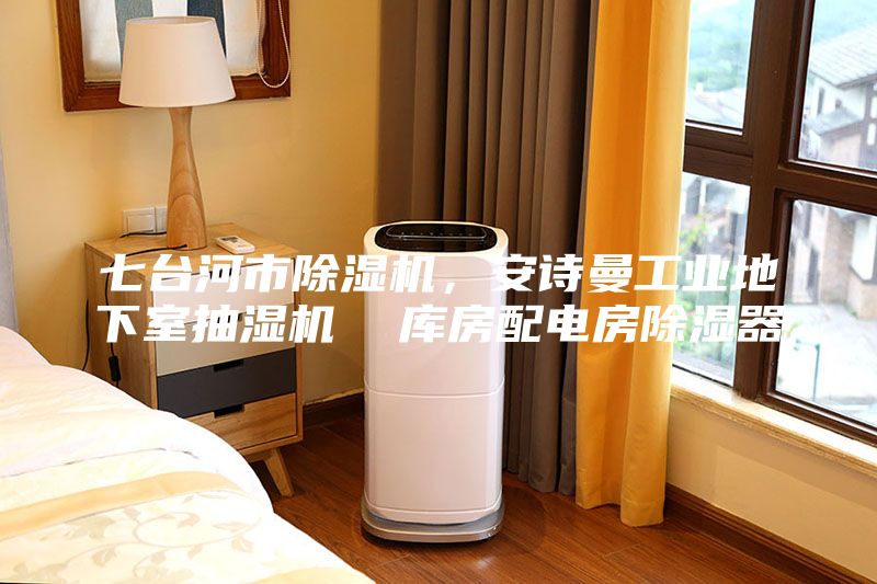 七臺(tái)河市除濕機(jī)，安詩(shī)曼工業(yè)地下室抽濕機(jī)  庫(kù)房配電房除濕器