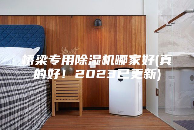 橋梁專用除濕機(jī)哪家好(真的好！2023已更新)