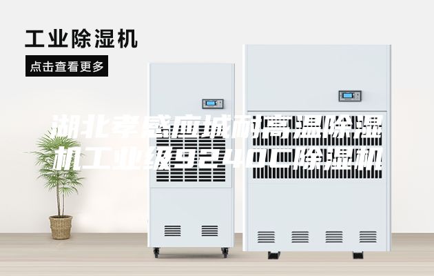 湖北孝感應(yīng)城耐高溫除濕機(jī)工業(yè)級(jí)9240C除濕機(jī)