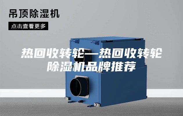熱回收轉輪—熱回收轉輪除濕機品牌推薦