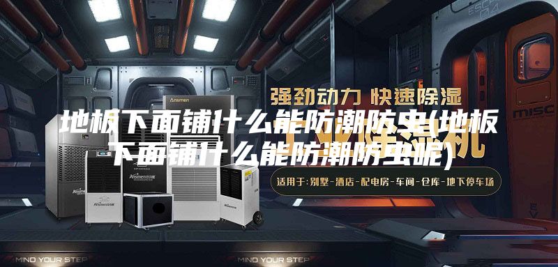 地板下面鋪什么能防潮防蟲(地板下面鋪什么能防潮防蟲呢)