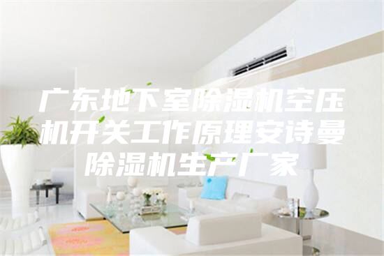 廣東地下室除濕機空壓機開關(guān)工作原理安詩曼除濕機生產(chǎn)廠家
