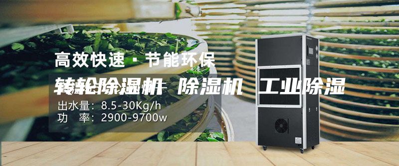 轉(zhuǎn)輪除濕機(jī) 除濕機(jī) 工業(yè)除濕