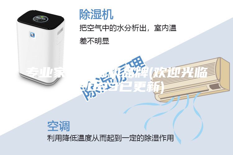 專業(yè)家用除濕機(jī)品牌(歡迎光臨-2023已更新)