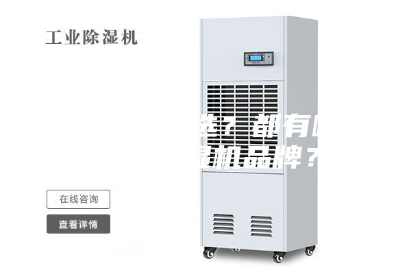 除濕機怎么選?都有哪些好的除濕機品牌?