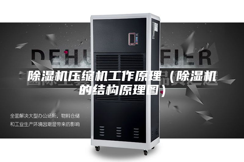 除濕機壓縮機工作原理（除濕機的結構原理圖）