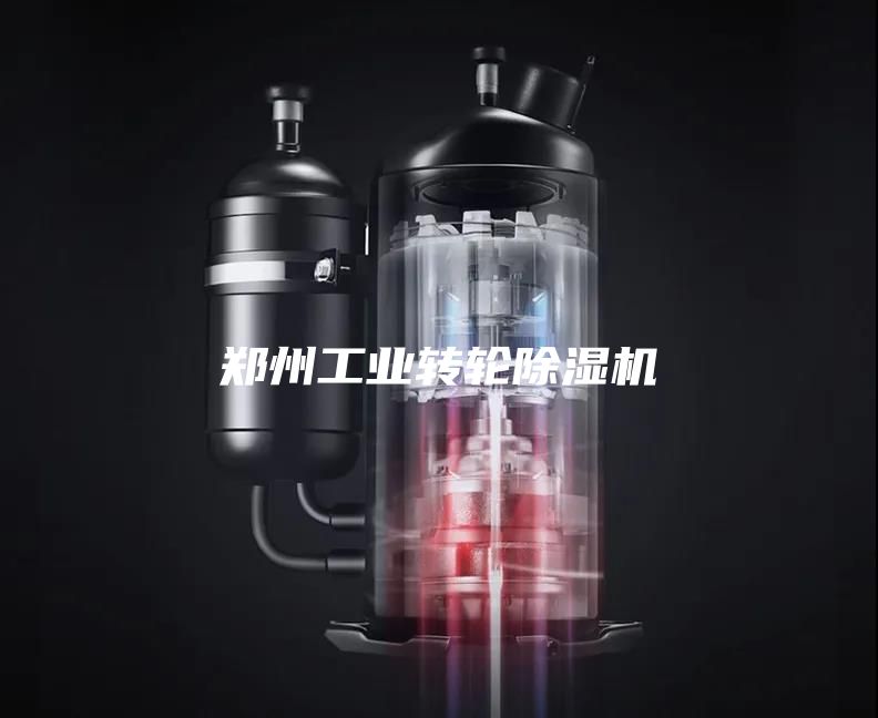 鄭州工業(yè)轉(zhuǎn)輪除濕機