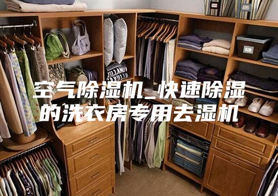 空氣除濕機(jī)_快速除濕的洗衣房專用去濕機(jī)