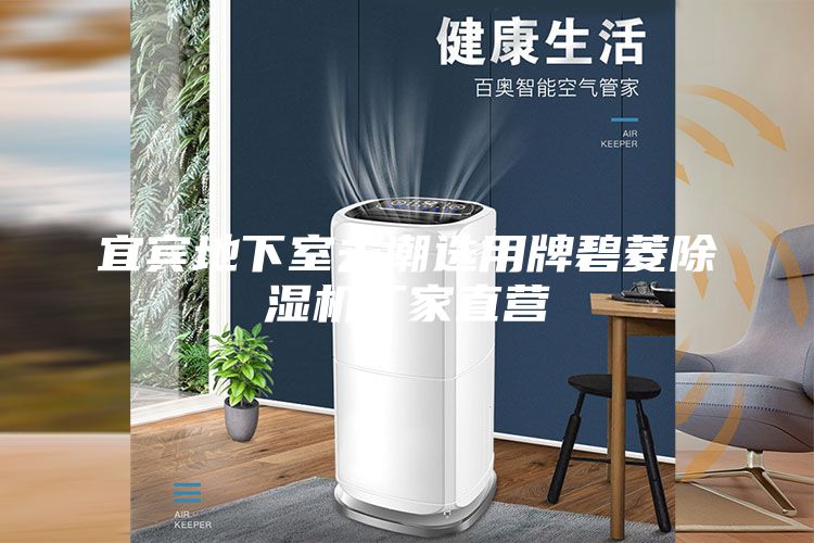宜賓地下室去潮選用牌碧菱除濕機廠家直營