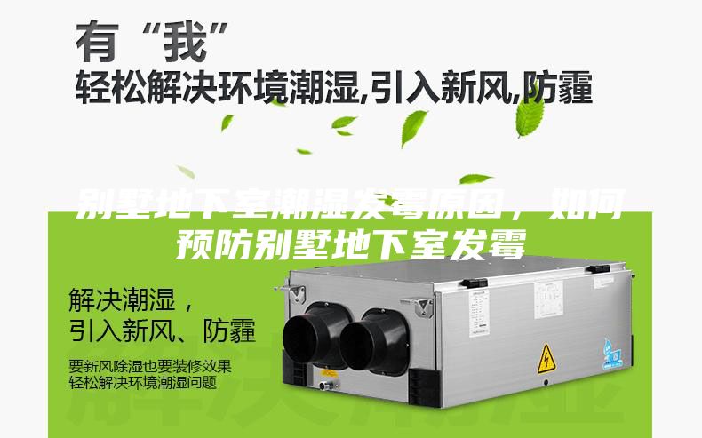 別墅地下室潮濕發(fā)霉原因，如何預防別墅地下室發(fā)霉