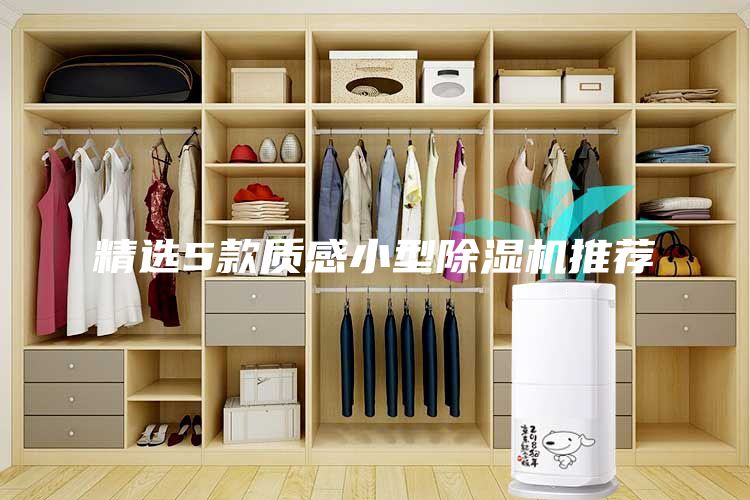 精選5款質感小型除濕機推薦