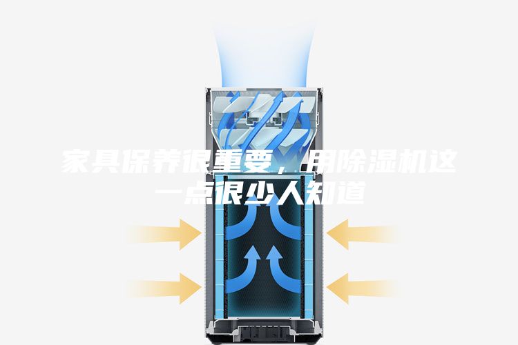 家具保養很重要，用除濕機這一點很少人知道