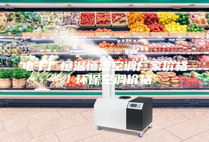 電子廠恒溫恒濕空調廠家價格／環保空調價格