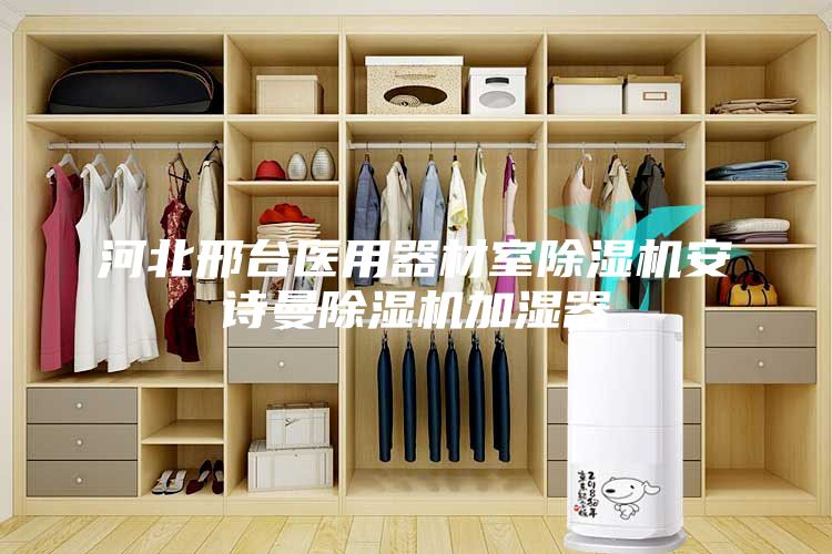 河北邢臺醫用器材室除濕機安詩曼除濕機加濕器