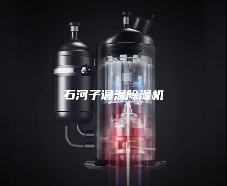 石河子調(diào)溫除濕機