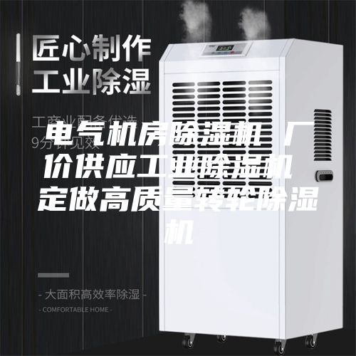 電氣機房除濕機 廠價供應(yīng)工業(yè)除濕機 定做高質(zhì)量轉(zhuǎn)輪除濕機