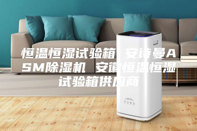 恒溫恒濕試驗(yàn)箱 安詩(shī)曼ASM除濕機(jī) 安徽恒溫恒濕試驗(yàn)箱供應(yīng)商
