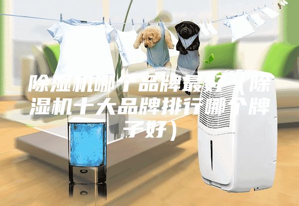除濕機哪個品牌最好(除濕機十大品牌排行哪個牌子好)
