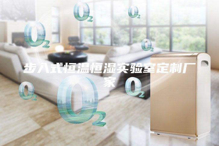 步入式恒溫恒濕實驗室定制廠家