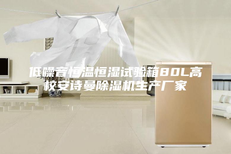 低噪音恒溫恒濕試驗箱80L高校安詩曼除濕機生產(chǎn)廠家