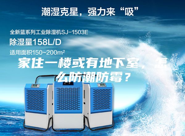 家住一樓或有地下室，怎么防潮防霉？