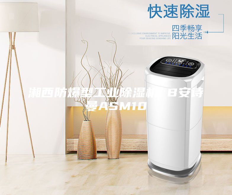 湘西防爆型工業(yè)除濕機 B安詩曼ASM10