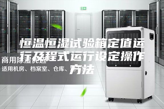 恒溫恒濕試驗箱定值運行及程式運行設(shè)定操作方法