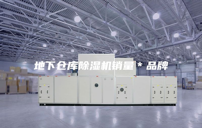 地下倉庫除濕機銷量*品牌