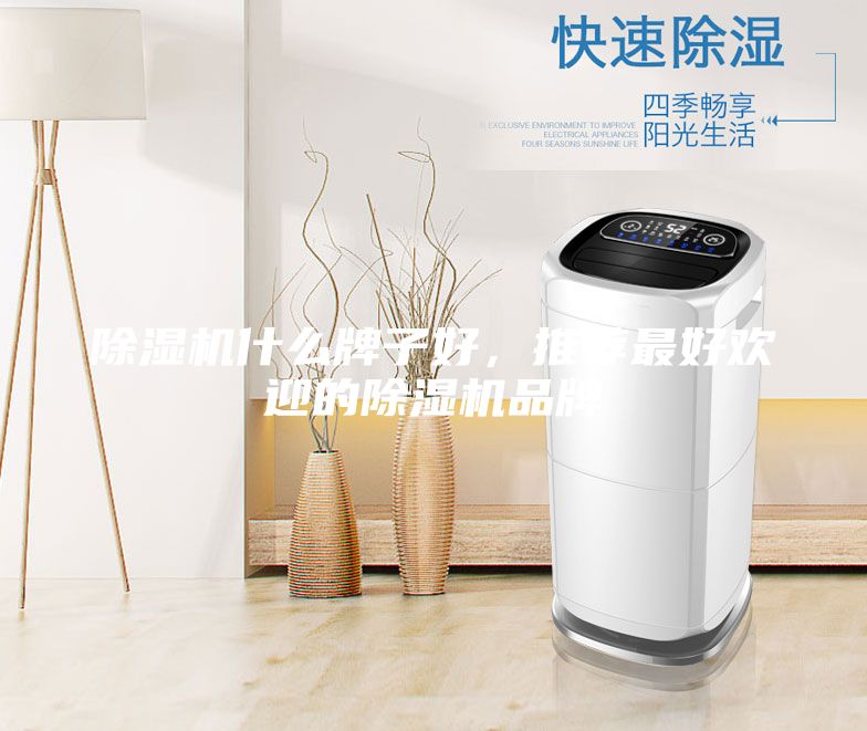 除濕機(jī)什么牌子好，推薦最好歡迎的除濕機(jī)品牌