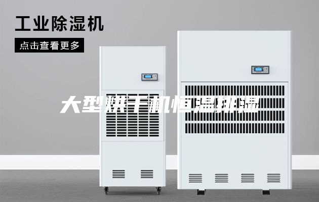 大型烘干機(jī)恒溫排濕